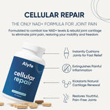 Cellular Repair Complex | 1-Month-Supply